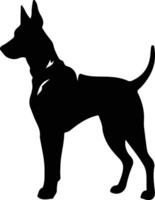 Doberman Pinscher silhouette vector