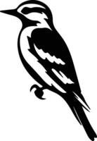 downy woodpecker black silhouette vector