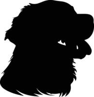 Golden Retriever portrait vector