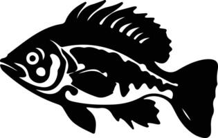 grouper black silhouette vector