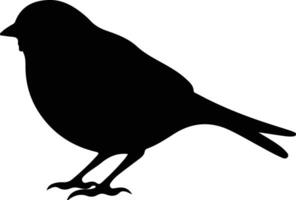 junco black silhouette vector