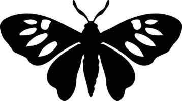 jumping bean moth black silhouette vector