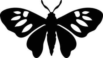 jumping bean moth black silhouette vector