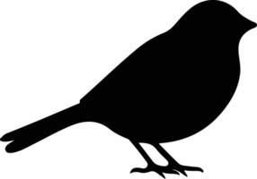 junco black silhouette vector