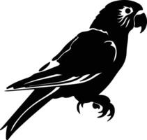 lorikeet black silhouette vector