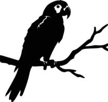 macaw black silhouette vector