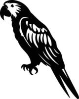 macaw black silhouette vector