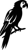 macaw black silhouette vector