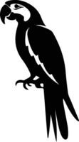 macaw black silhouette vector