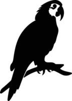 macaw black silhouette vector