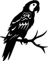 macaw black silhouette vector