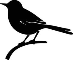 nightingale black silhouette vector