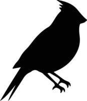 northern cardinal black silhouette vector