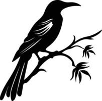 oropendola black silhouette vector