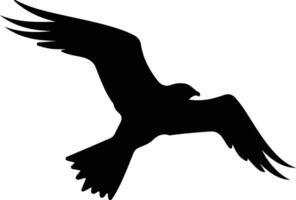 petrel black silhouette vector