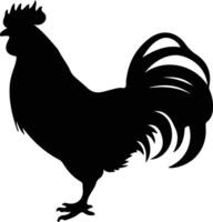 Rhode Island red  black silhouette vector