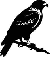 red-tailed hawk  black silhouette vector