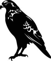 red-tailed hawk  black silhouette vector