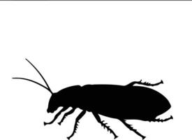cucaracha negro silueta vector