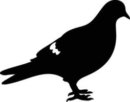 rock dove black silhouette vector