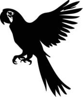 scarlet macaw  black silhouette vector