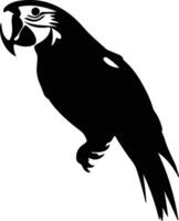 scarlet macaw  black silhouette vector