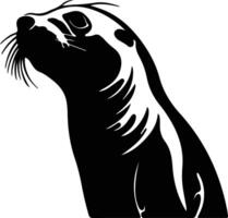 sealion  black silhouette vector