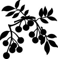 cranberry black silhouette vector