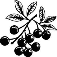 cranberry  black silhouette vector