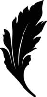 endive  black silhouette vector