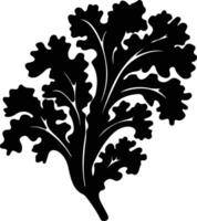 kale  black silhouette vector