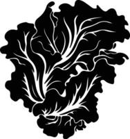 iceberg lettuce  black silhouette vector