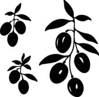 kumquat  black silhouette vector