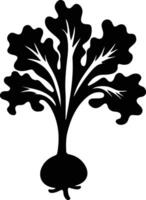 kohlrabi  black silhouette vector