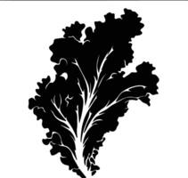 lettuce  black silhouette vector