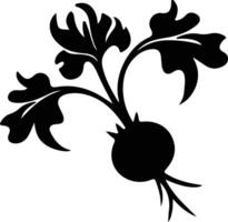 kohlrabi  black silhouette vector