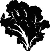 lettuce  black silhouette vector