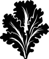 lettuce  black silhouette vector