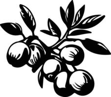 loquat  black silhouette vector