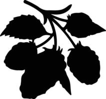 marionberry black silhouette vector