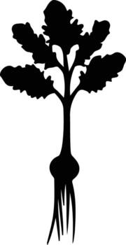 parsnip  black silhouette vector