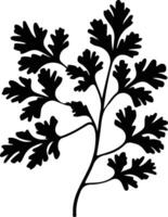 parsley  black silhouette vector