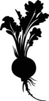 radish  black silhouette vector