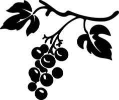 raisin  black silhouette vector