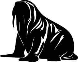 walrus  black silhouette vector