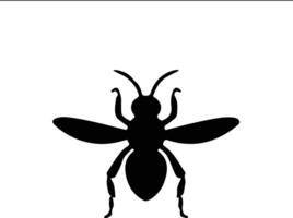 wasp  black silhouette vector