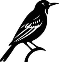 western meadowlark  black silhouette vector