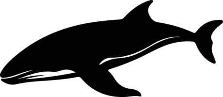whale  black silhouette vector
