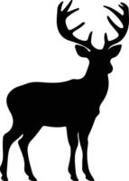 white-tailed deer  black silhouette vector