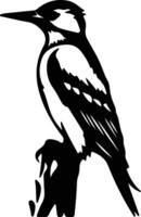 woodpecker  black silhouette vector